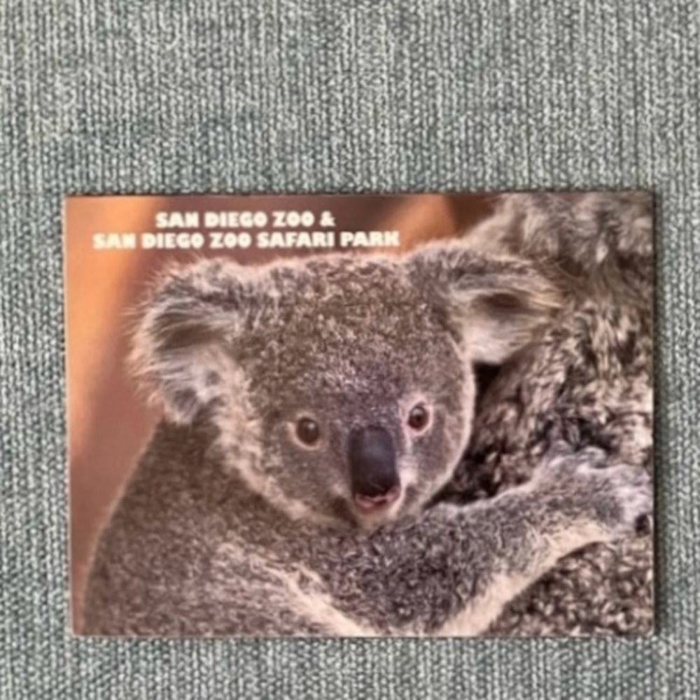 San Diego Zoo Koala Magnet